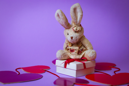 Toy Rabbit sits on a white gift box with a Red Ribbon on paper hearts on a purple background.の写真素材