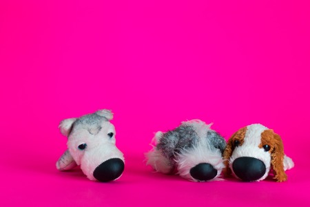 Two toys puppy sit together and one toy dog around on pink background.の写真素材