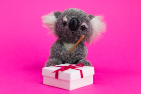 Toy cartoon koala sits on a white gift box on a pink background.の写真素材