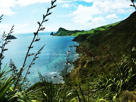 Look at the beautiful coast