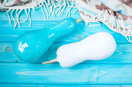 White and blue Pumpkins with plaid on rustic blue background.の写真素材
