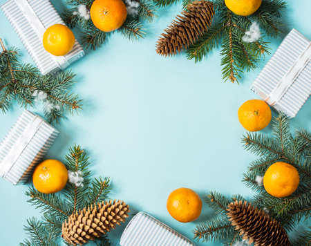 Christmas blue background with fir tree and tangerines.の写真素材