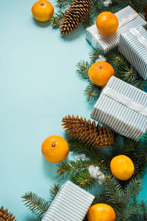 Christmas blue background with fir tree and tangerines. Copy spaceの写真素材