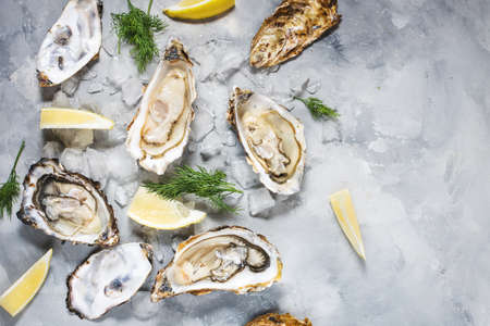 Opened Oysters with lemon on gray concrete texture background. Top viewの写真素材