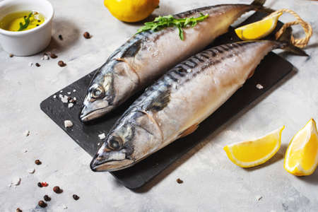 Fresh raw mackerel with lemon and spices on concrete background.の写真素材