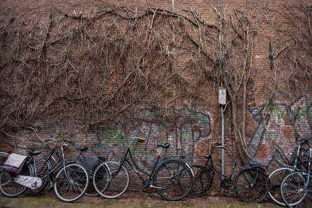 Bike Parking at the wall of the Park. Many bicycles on the background of autumn trees in Amsterdam, Netherlands. Eco-friendly transport.の写真素材