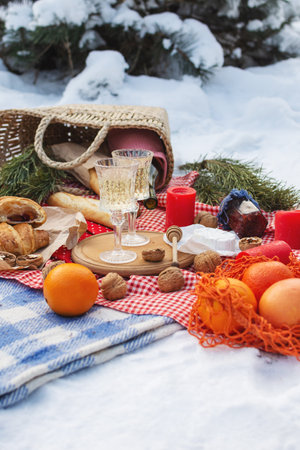 Romantic picnic setting in winter park, color blanket. Fresh food, cheese, oranges, croissants, wine and walnuts. Outdoor relaxing, fresh air eatingの写真素材