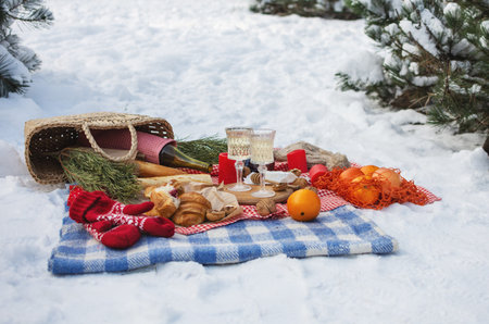 Romantic picnic setting in winter park, color blanket. Fresh food, cheese, oranges, croissants, wine and walnuts. Outdoor relaxing, fresh air eatingの写真素材