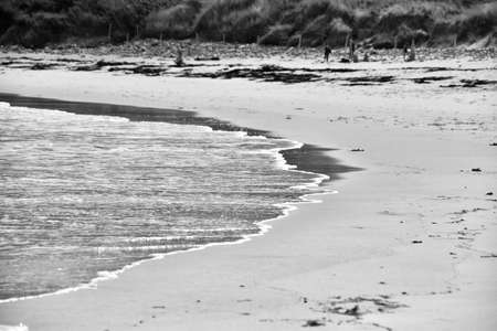 Black and white picture of water rolling on a beach.の写真素材