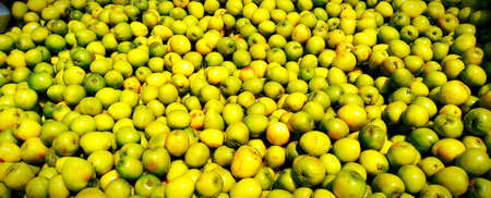 Fruits in autumnの素材