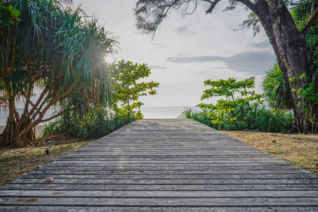 Wooden path at sea over sand beach with ocean view, sunset summer eveningの写真素材
