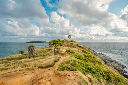 The way to the famous Promthep cape of Phuket, path through tall grass and palmの写真素材