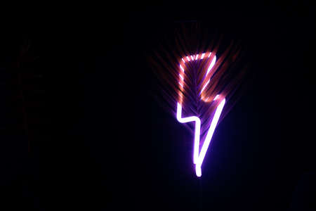 Colorful tropical palm leaf on neon lightning, dark woody background night bright tropical advertisingの写真素材