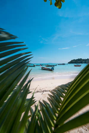 Thai fishing boat on the turquoise coast, picture framed by palm leaves. Summer vacation and nature travel adventure concept. Vertical photoの写真素材