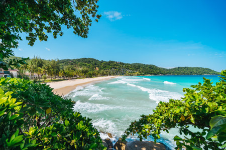 Tropical beach wiht long waves for surf framed by green leaves. Summer vacation and nature travel adventure concept .. Summer composition. High quality photoの写真素材