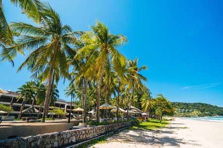 Exotic tropical beach landscape for background or wallpaper. Tranquil beach scene for travel inspirational, Summer holiday and vacation concept for tourism relaxing.の写真素材