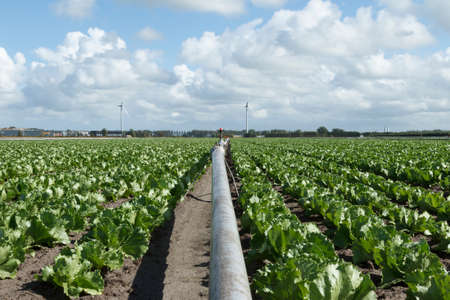 Farmers landscapeの写真素材