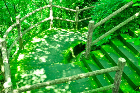 The sun shines on the green stone stepsの写真素材