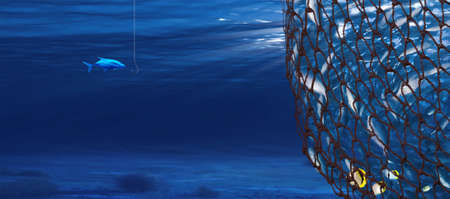 had a group of fish in a netの写真素材