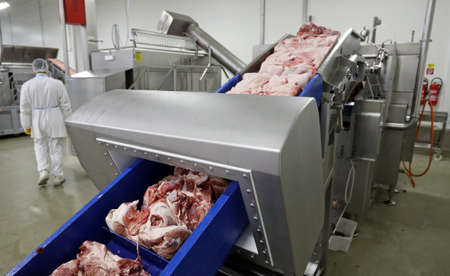 Piaces of meat, cow meat in production line in meat industryの写真素材