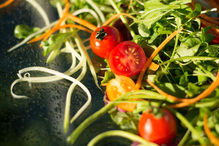 saladの写真素材