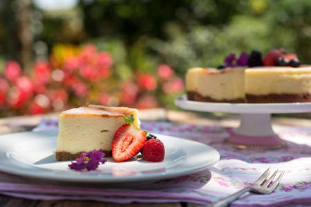 cheesecakeの写真素材