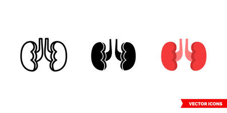 Kidneys icon of 3 types. Isolated vector sign symbol.のイラスト素材