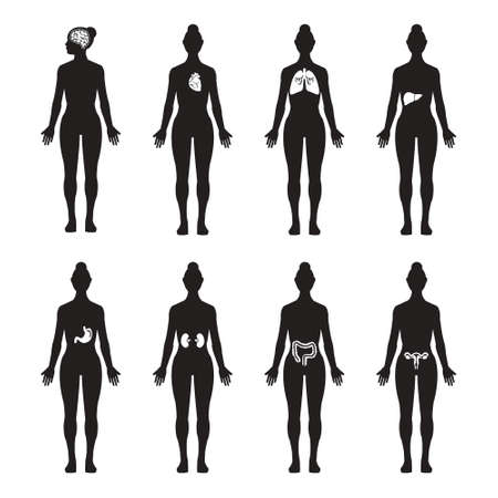 Human organs female silhouette vector icon set, brain, heart, lungs, liver, stomach, kidney, intestine, reproductive systemのイラスト素材