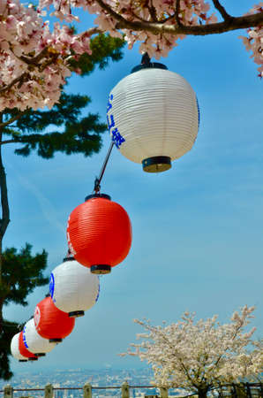 Cherry blossoms in full bloom and blue sky