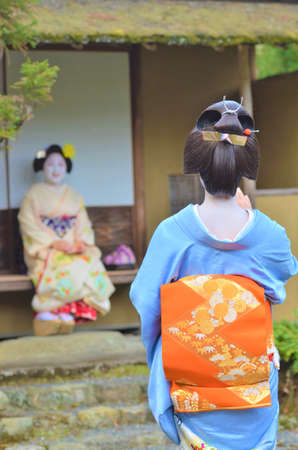 Beautiful Geisha World
