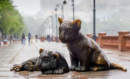 Russia, Vladivostok, 06/30/2018. Bronze sculpture "Little tigers" on the embankment in city downtown. This sculpture is a gift of the World Wildlife Fund (WWF) for the city.のeditorial素材