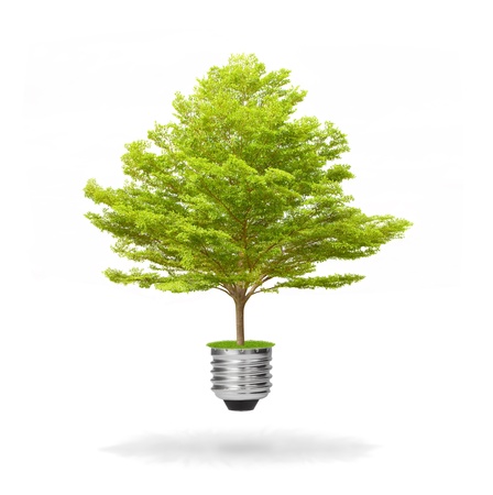 green energy eco concept, tree growing out of bulbの写真素材