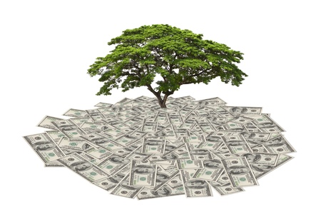money to save tree in the future, big tree growing from heap of dollar bill