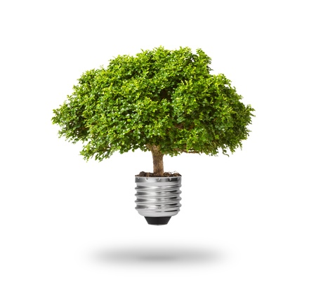 green energy eco concept, tree growing out of bulbの写真素材