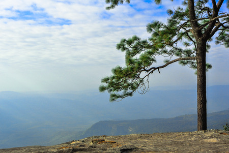 Viewpoint Pha Mak Duk in Phukradung National Park, Thailandの写真素材