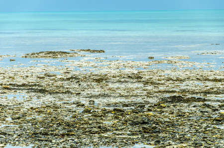 Colorful rocky beach of Al-Ghariya, Qatar