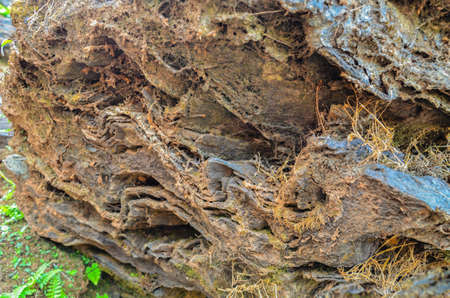 Layers of iron ore deposits in the mountains of Baba Budangiri at Chikmagalur, Indiaの写真素材