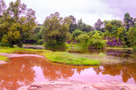 Reflection in the lake at Manjal Paade, Mangalore, Indiaの写真素材