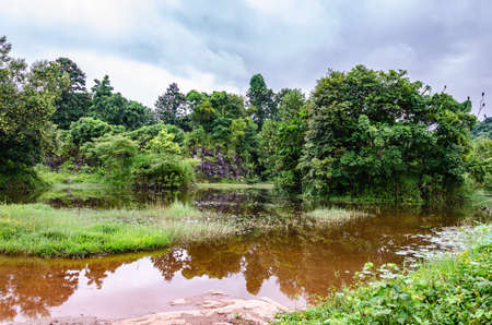 Reflection in a rainwater pond at Manjal Paade, Mangalore, India