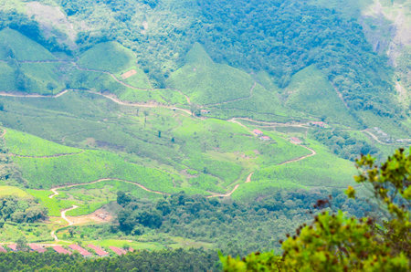 Majestic misty mountains of Munnar, Kerala, Indiaの写真素材
