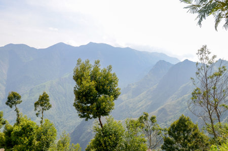 Misty mountains of Munnar, Kerala, Indiaの写真素材