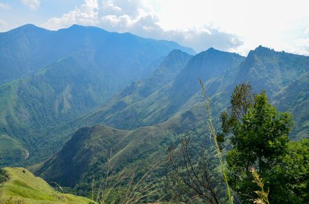 Misty mountains of Munnar, Kerala, Indiaの写真素材