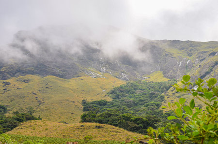 Rocky hills  of Munnar, Kerala, Indiaの写真素材