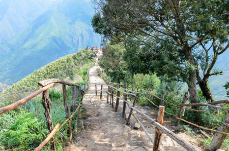 Misty mountains of Munnar, Kerala, Indiaの写真素材