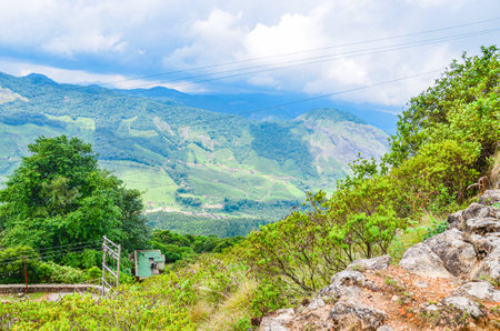 Majestic misty mountains of Munnar, Kerala, Indiaの写真素材