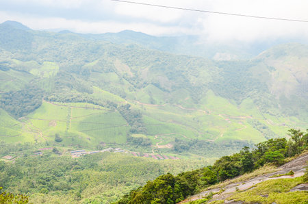 Tea Gardens at Munnar, Kerala, Indiaの写真素材