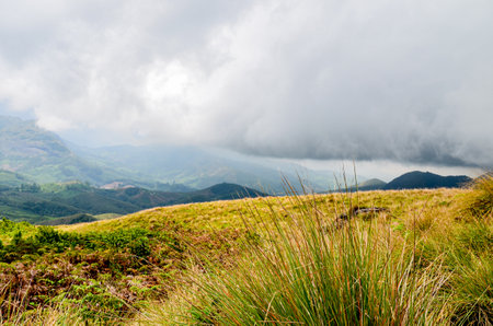 Misty mountains of Munnar, Kerala, Indiaの写真素材