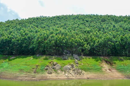 A rivulet on Munnar hills in Kerala, Indiaの写真素材