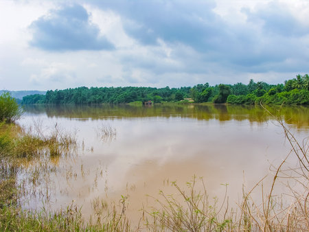 Flooded river with muddy waterの写真素材