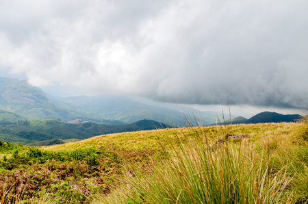 Misty mountains of Munnar, Kerala, Indiaの写真素材